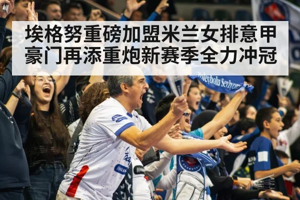 volleyball arena crowd
